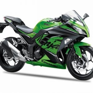 Kawasaki Ninja 300 - Lime Green Ebony